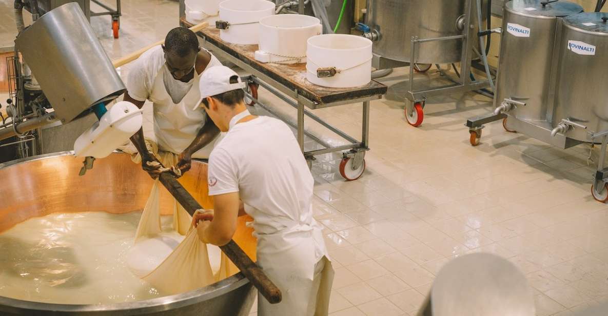 Modena: Parmesan, Balsamic Vinegar, Lambrusco Tour + Lunch - Cheese Factory Tour and Tasting
