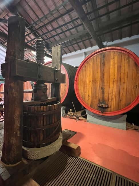 Modena: Parmesan, Balsamic Vinegar, Wine Tour + Lunch - Parmigiano Reggiano: The King of Cheese