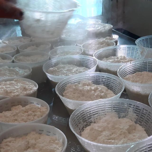 Modena: Parmigiano Reggiano Cheese & Pasta Cooking Class - Key Points