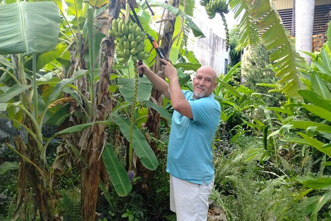 Modern Puerto Rican Cooking Class in a Historic San Germán Home - A Detailed Look at the Experience