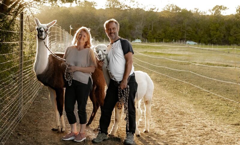 Mödling/Vienna: Scenic Guided Hike with Alpacas and Llamas - Who Will Love This Tour?