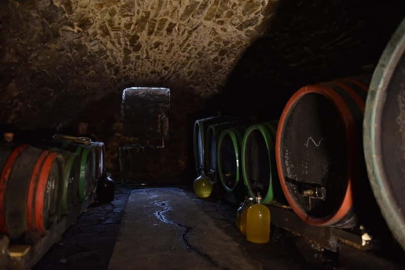 Modra: Private wine tasting guided by winery owner - Final Thoughts