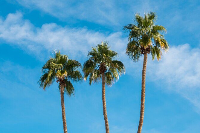 Mods & Icons Tour of Palm Springs - FAQs