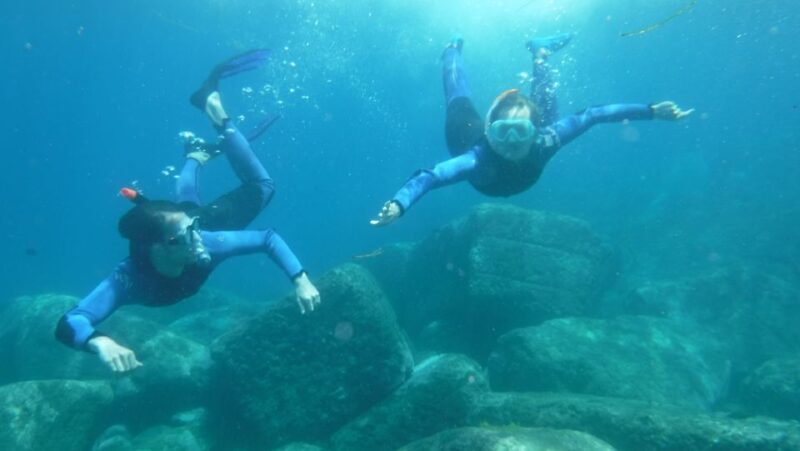 Mogán Beach: Guided Kayak to Caves and Snorkeling Tour - Experience Highlights