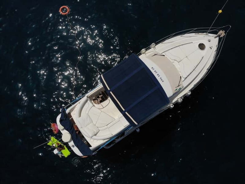 Mogan: Dolphin Watching Boat Trip with Swim Stop - Considerations and Possible Drawbacks