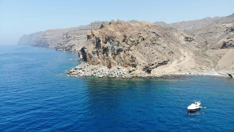 Mogan: Dolphin Watching Boat Trip with Swim Stop - FAQs