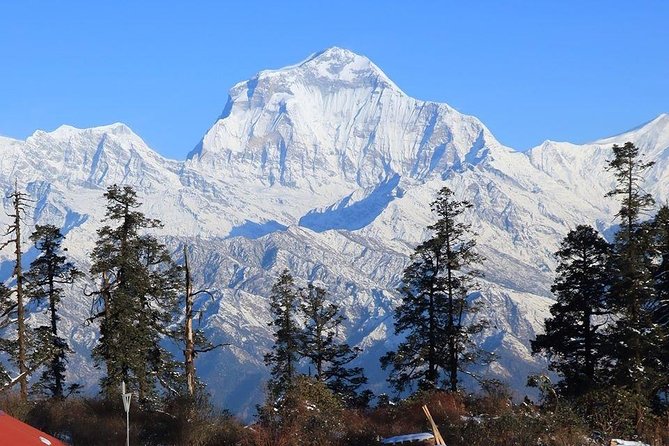 Mohare Danda Trek - Inclusions and Benefits