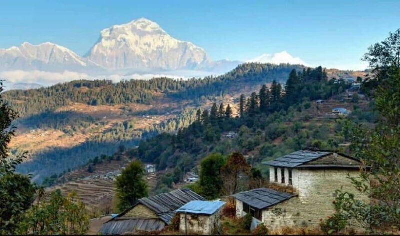 Mohare Danda Trek : Short and easy trek - A Detailed Look at the Trek Experience