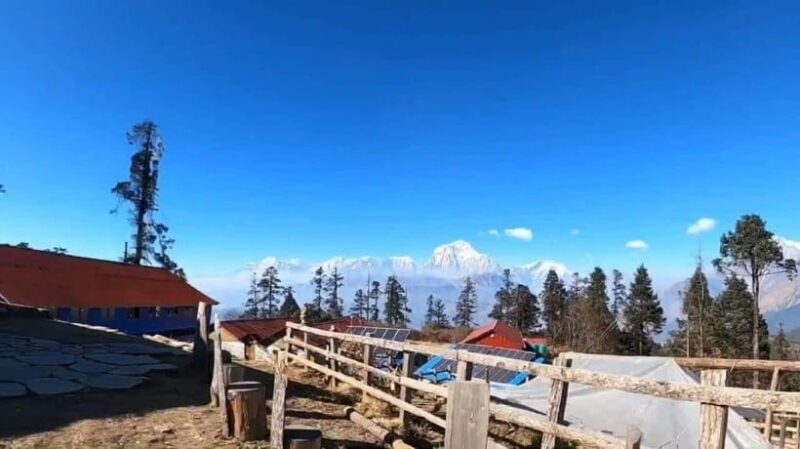 Mohare Danda Trek : Short and easy trek - Authentic Reviews and Insights