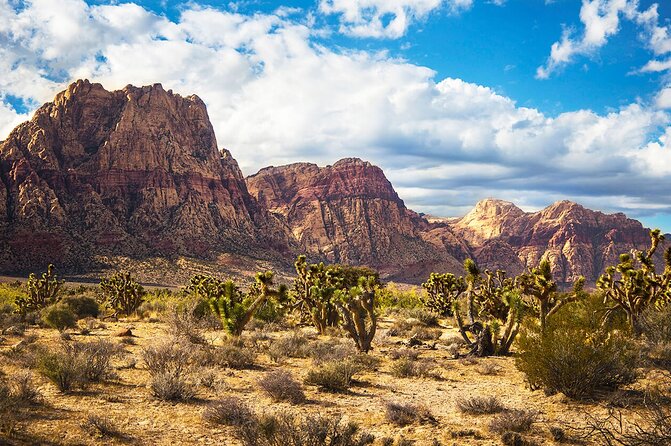 Mojave Desert Walking Trip Review - Logistics and Booking Process