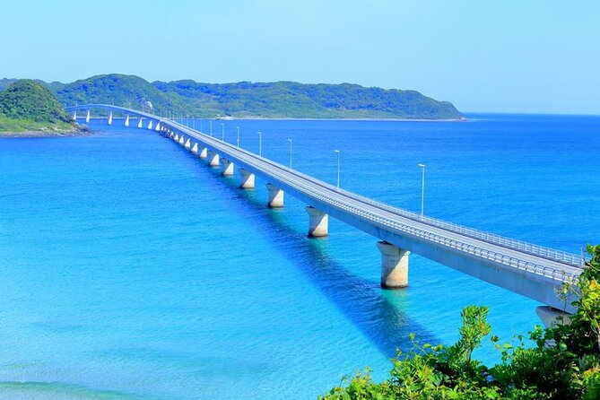 Moji Port, Subsea Tunnel and Shrine Day Tour From Fukuoka - Booking and Cancellation Policy