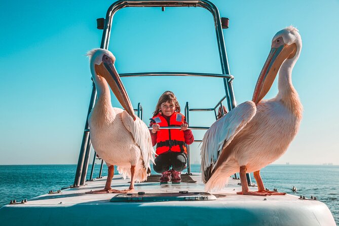 Mola Mola Marine Dolphin Cruise From the Walvis Bay Waterfront to Pelican Point - Itinerary Highlights