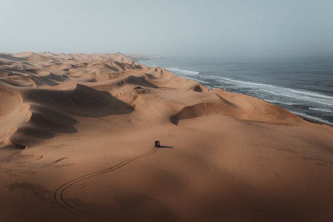 Mola Mola Marine Dune Experience - Customer Reviews and Feedback