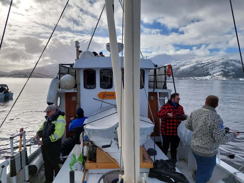 Molde: Boat Trip With Historical Storytelling from Molde - Key Points