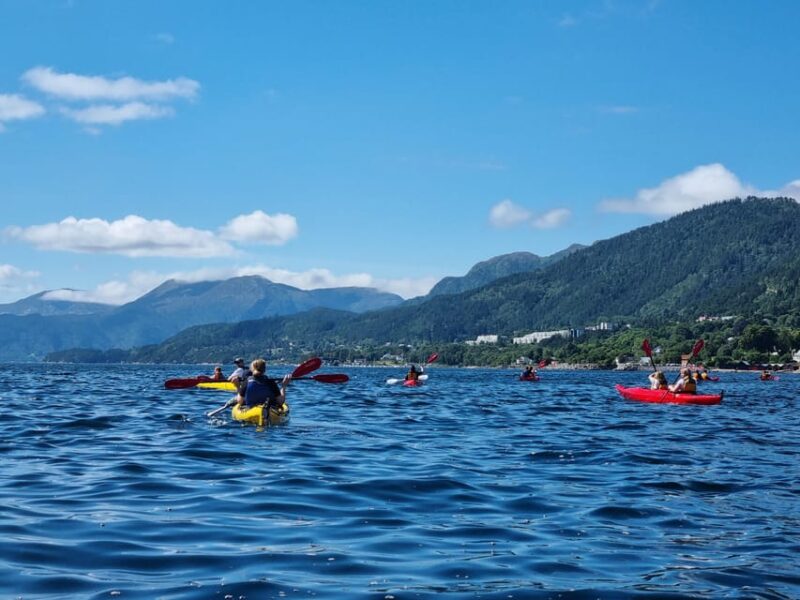 Molde - Guided Kayak Tour - Included Equipment