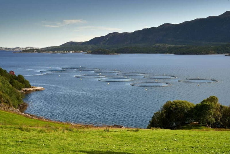 Molde: Journey Along the Atlantics Majestic Route - What to Expect on the Tour