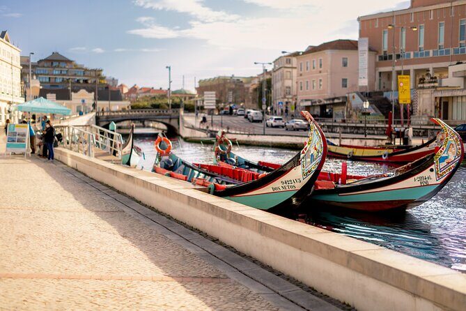 Moliceiro Boat Tour on the Ria de Aveiro - Who Should Consider This Tour?