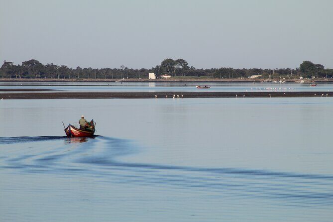 Moliceiro boat trip, with experience in bivalves harvesting - An In-Depth Look at the Moliceiro Boat Experience