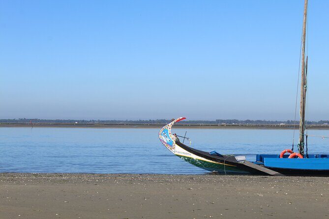 Moliceiro boat trip, with experience in bivalves harvesting - Final Thoughts: Is It Worth It?