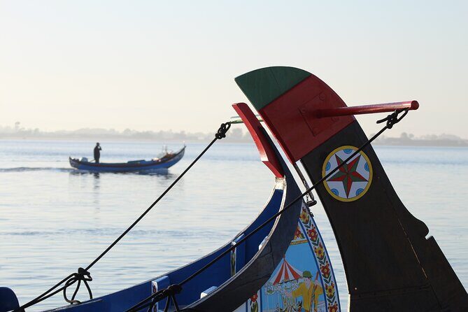Moliceiro boat trip, with experience in bivalves harvesting - Final Words