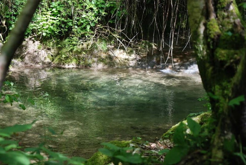 Molina Waterfall Park: tour and optional aperitif - The Aperitif: A Relaxed End to Your Visit