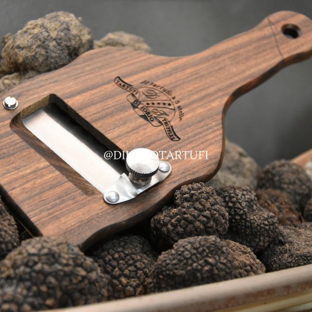 MOLISE TRUFFLE HUNTING WITH FOOD TASTING - Jeep/SUV Transportation