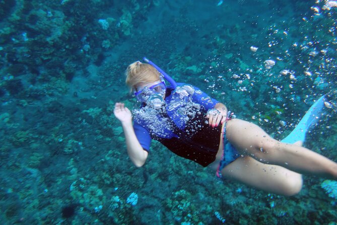 Molokini Crater Snorkeling Adventure - Safety and Guidelines