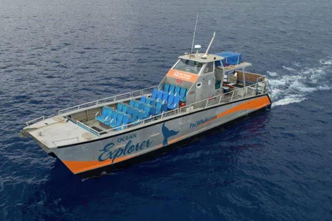 Molokini & Turtle Adventure: Small Group from Ma'alaea Harbor - What Sets This Tour Apart?