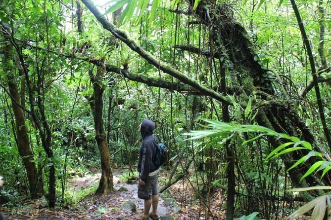 Mombacho Volcano Cloud Forest - Customer Reviews and Feedback