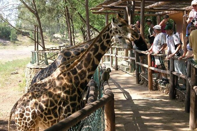 Mombasa Getaway With Haller Park Tours - Booking and Cancellation Policy