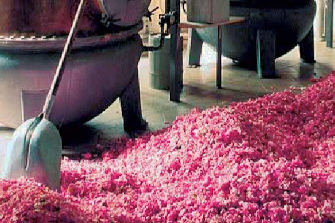 Monaco and Perched Medieval Villages - private & Guided Tour - FAQs