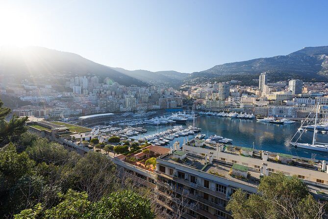Monaco Private Walking Tour With A Professional Guide - Starting Point and Logistics