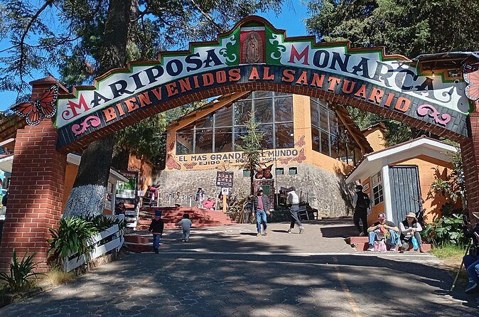 Monarch Butterflies El Rosario Preserve from Mexico City - Final Thoughts