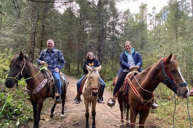 Monarch Butterfly: Biosphere Reserve & Christmas Tour in Mexico - Returning to Mexico City