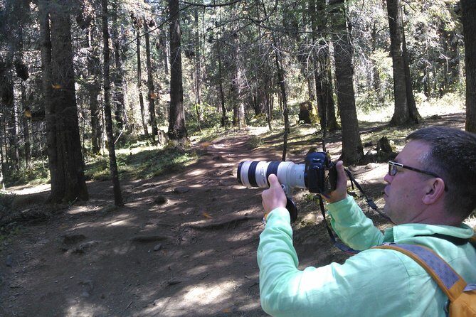 Monarch Butterfly group tour. Join me to watch #butterflies - The Practical Side: Pricing, Duration, and Booking