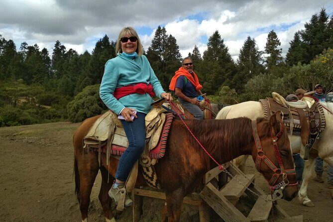 Monarch Butterfly group tour. Join me to watch #butterflies - Who Will Love This Experience?