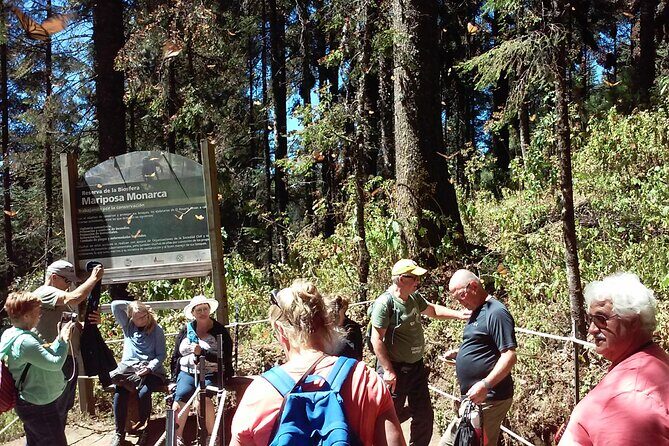 Monarch Butterfly group tour. Join me to watch #butterflies - The Sum Up: Is This Tour Right for You?