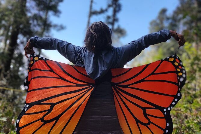 Monarch Butterfly Reserve: Piedra Herrada Magical Valle de Bravo - What Makes This Tour Special?