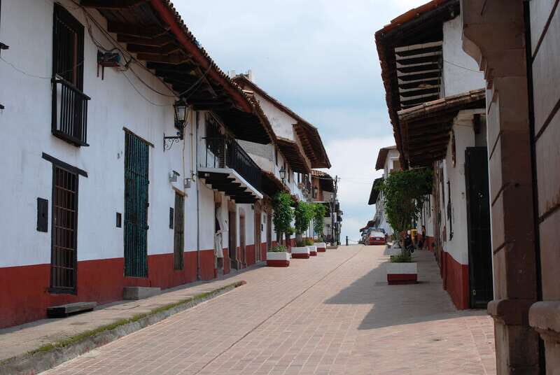 Monarch Butterfly Sanctuary Tour from Mexico City - The Sum Up