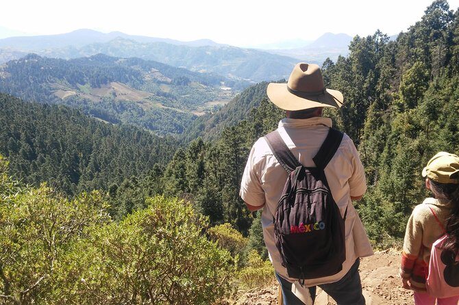 Monarch Butterfly Tour from Mexico City - Setting the Scene: What the Tour Offers