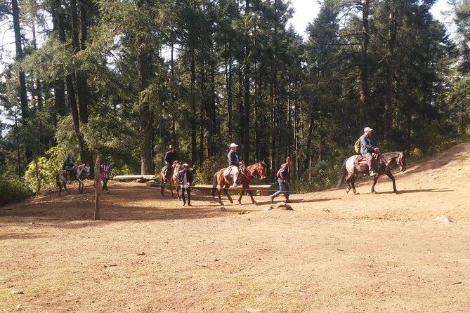 Monarch Butterfly Tour from Mexico City - FAQs