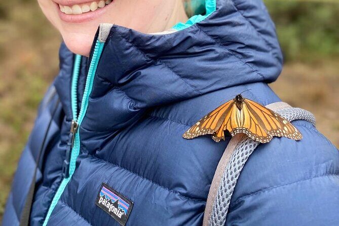 Monarch Butterfly Tour Mexico: Sierra Chuincua and Magic Town - Key Points