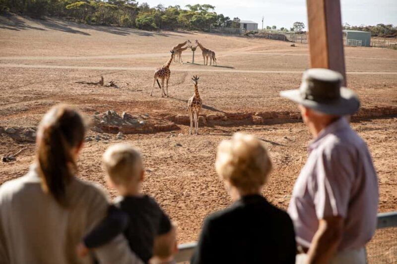 Monarto Safari Park: General Admission Tickets - Introduction