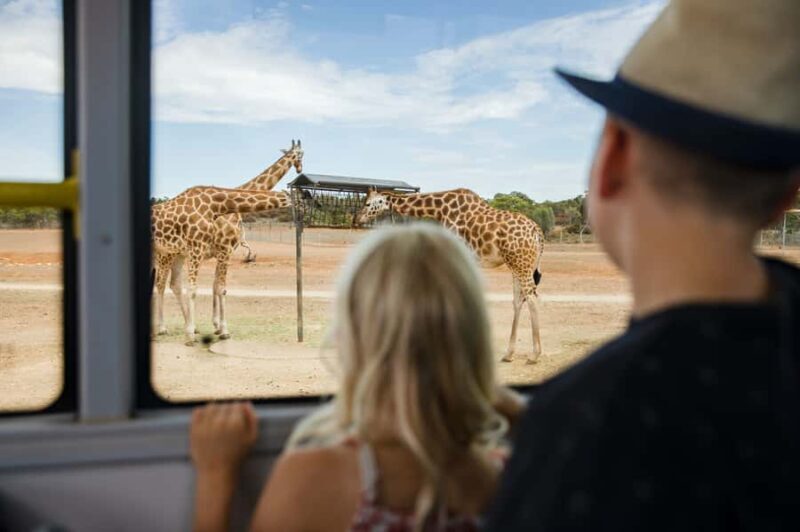 Monarto Safari Park: General Admission Tickets - Who Should Visit?