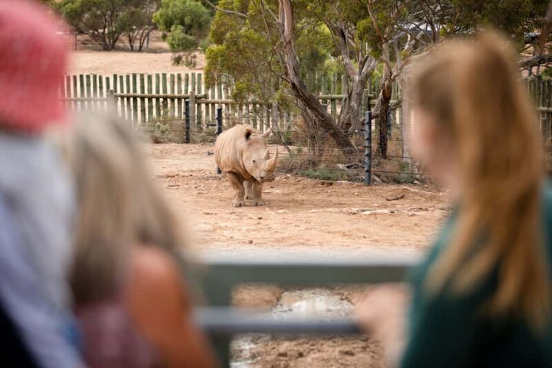 Monarto Safari Park: General Admission Tickets - FAQ