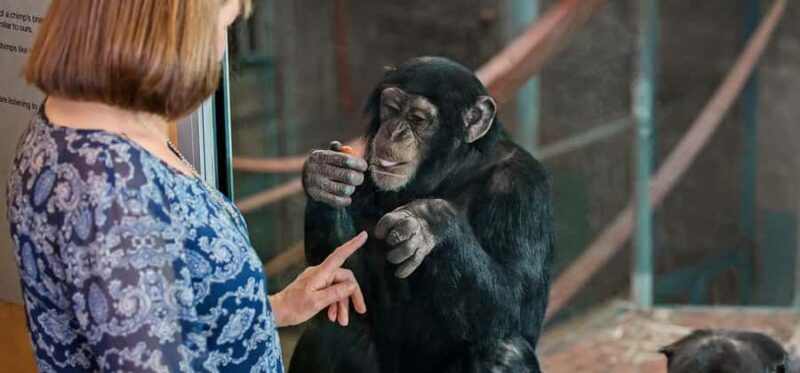 Monarto Safari Park: Keeper for a Day - Key Points