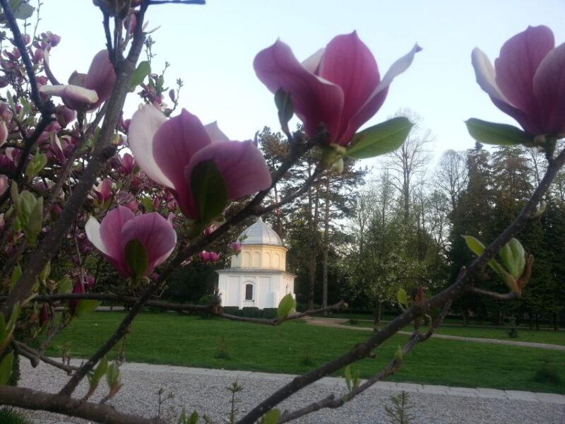 Monasteries of Curtea De Arges: Day Trip From Bucharest - Customer Reviews and Ratings