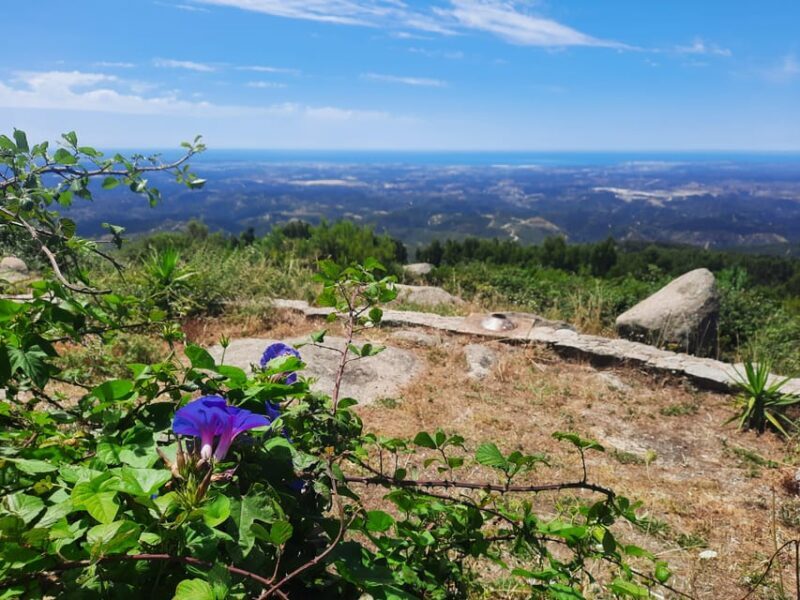 Monchique & Silves: guided day trip - A Deep Dive into the Monchique & Silves Guided Tour