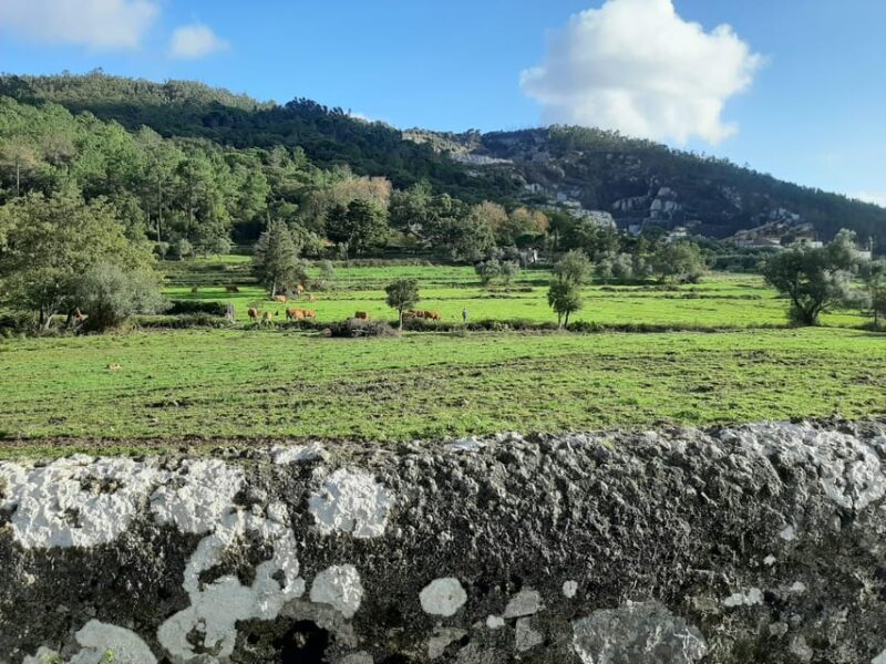 Monchique & Silves: guided day trip - FAQs