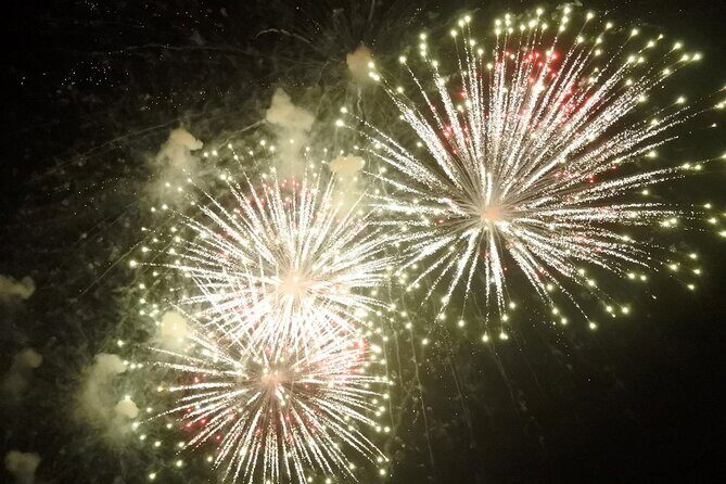 Monday & Thursday Nights Harbor Lights Tiki Tour - Key Points